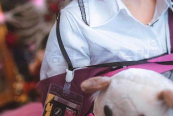 渊秧的修女合集：一言不合就撇脸？